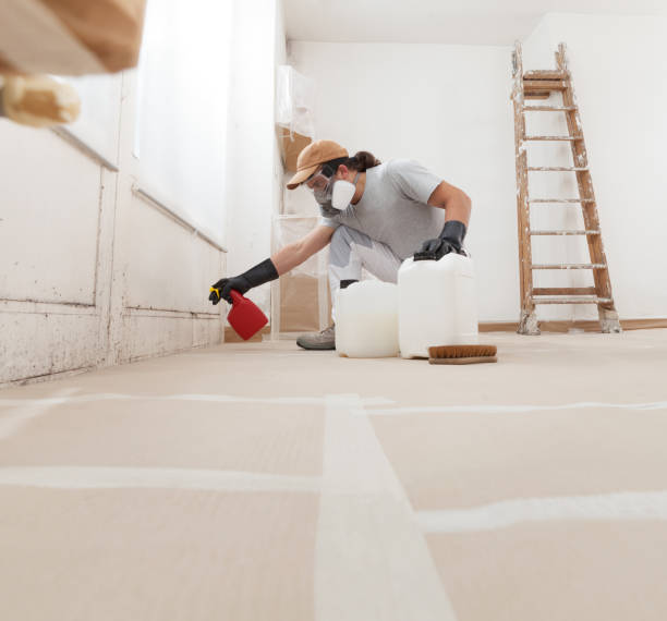 Best Indoor Air Quality Assessment  in Grundy Center, IA
