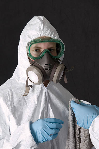 Environmental Consulting for Mold Prevention in Grundy Center, IA